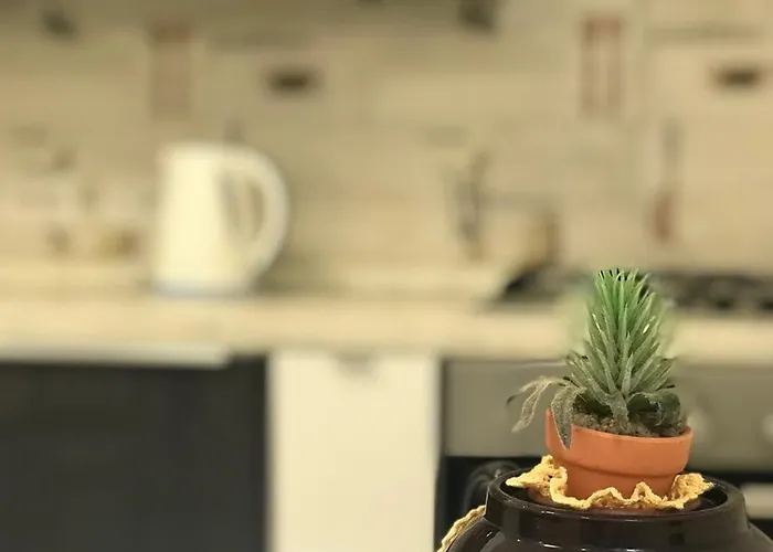 Bed and breakfast 40 Steps