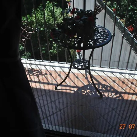 40 Steps 维克艾库塞