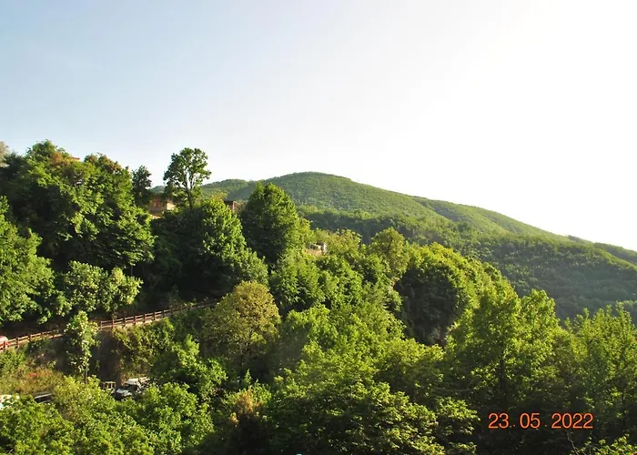 Bed & Breakfast 40 Steps 4*